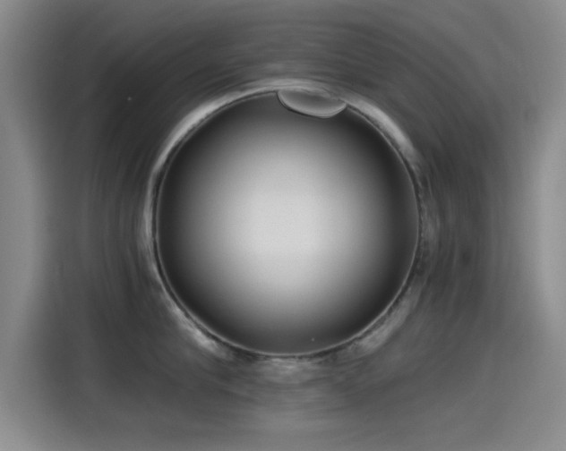 X0000115260910200911061236