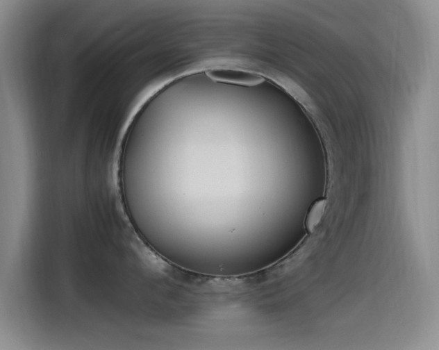 X0000115260912200911061236