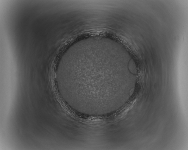 X0000115260913200911061236