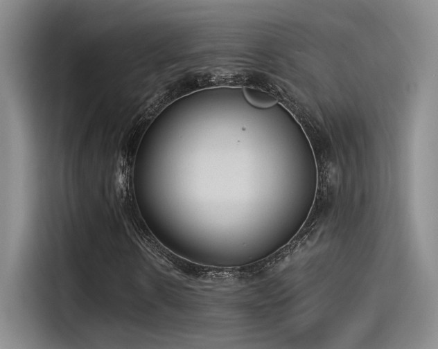 X0000115260914200911061236