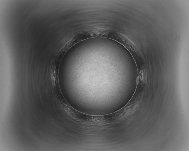 X0000115260915200911061236