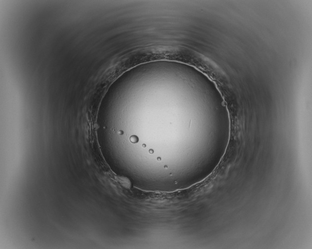 X0000115260917200911061236