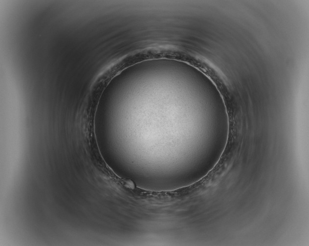 X0000115260919200911061236