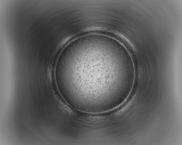X0000115260921200911061236