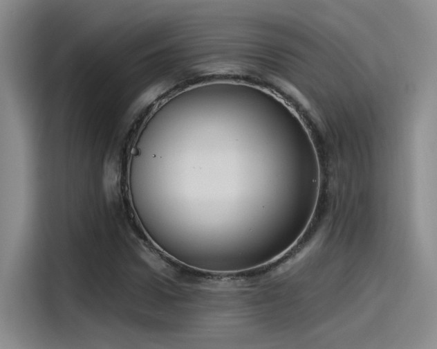 X0000115260922200911061236