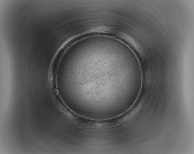 X0000115260923200911061236