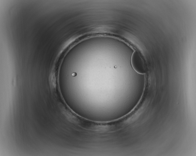 X0000115260925200911061236
