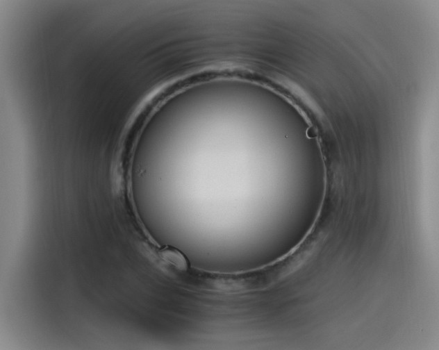 X0000115260927200911061236