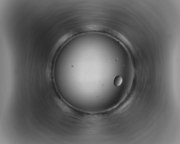 X0000115260930200911061236