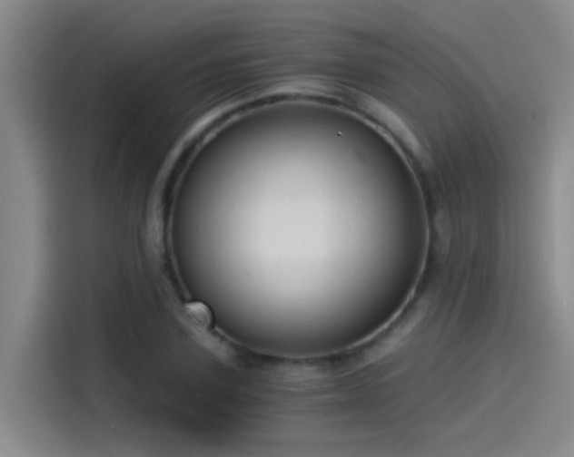 X0000115260931200911061236