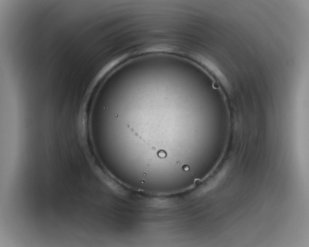 X0000115260933200911061236