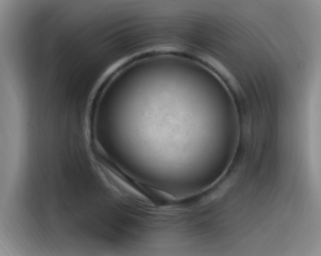 X0000115260935200911061236