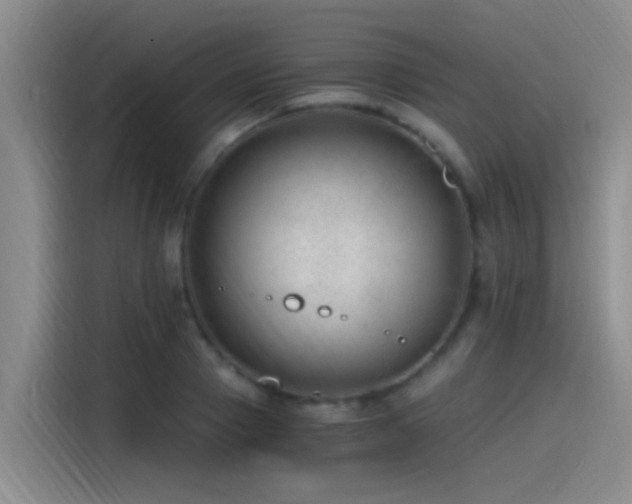 X0000115260937200911061236
