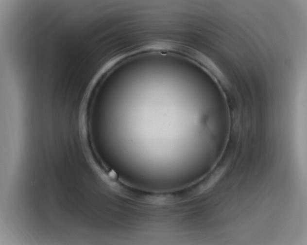 X0000115260939200911061236