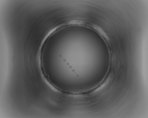 X0000115260941200911061236