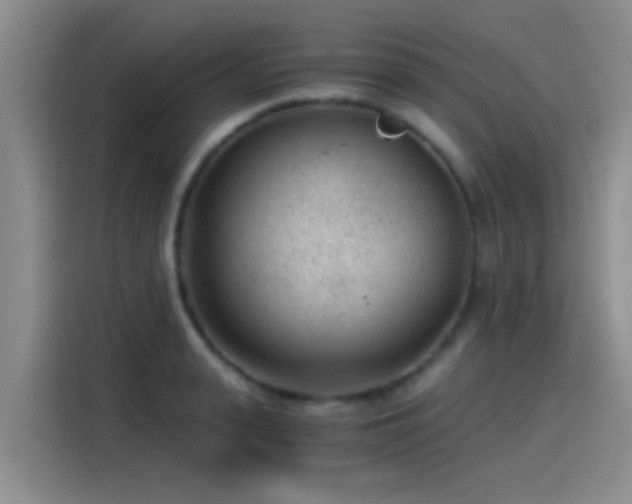 X0000115260943200911061236
