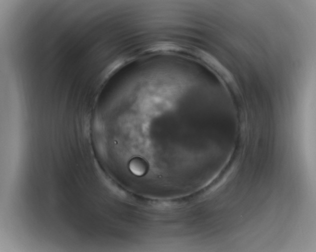 X0000115260945200911061236