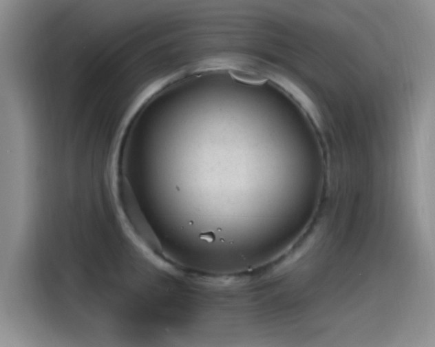 X0000115260949200911061236