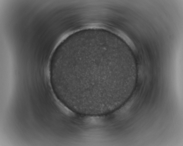 X0000115260950200911061236
