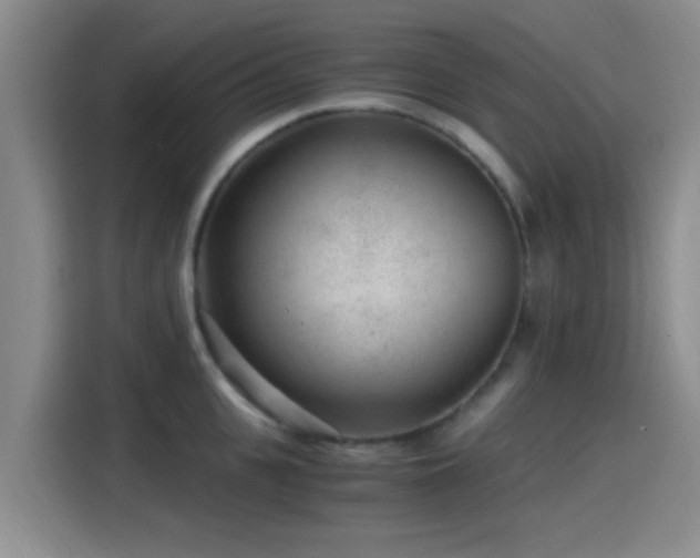 X0000115260951200911061236