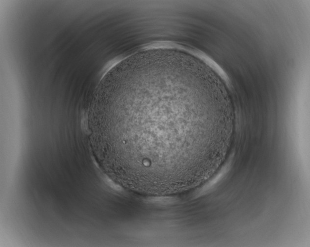 X0000115260953200911061236