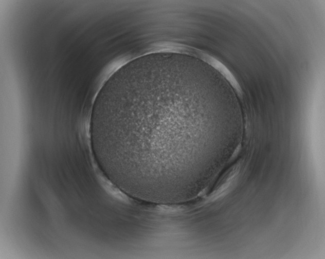 X0000115260954200911061236
