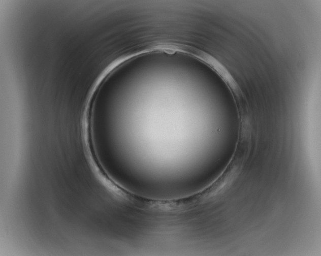 X0000115260955200911061236