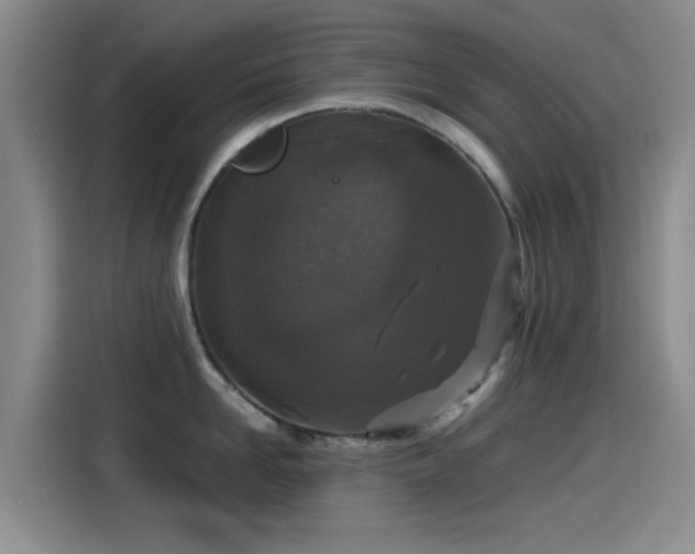 X0000115260958200911061236