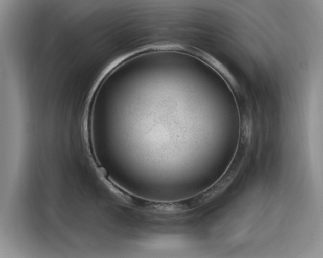 X0000115260959200911061236