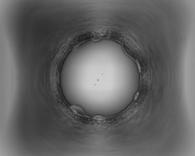 X0000115260961200911061236