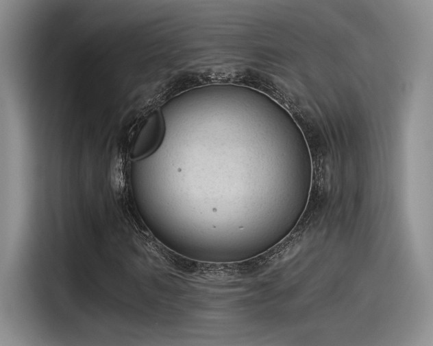 X0000115260962200911061235