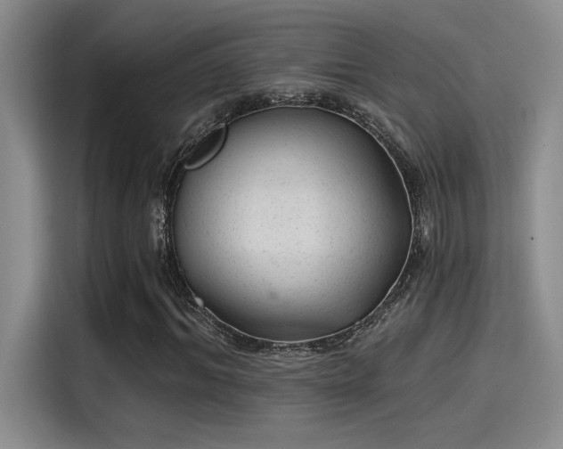 X0000115260964200911061235