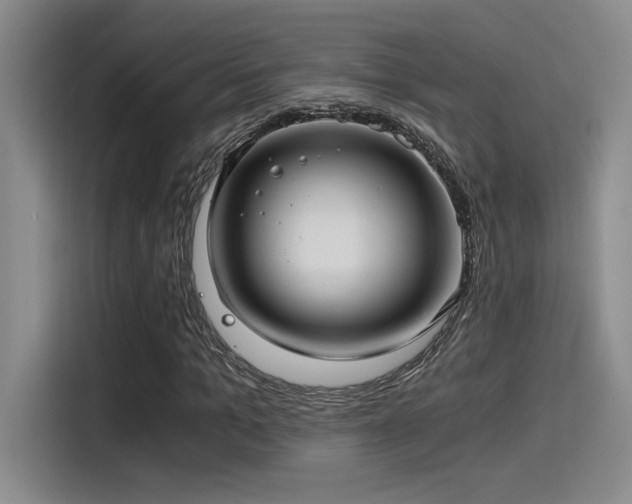 X0000115260965200911061235