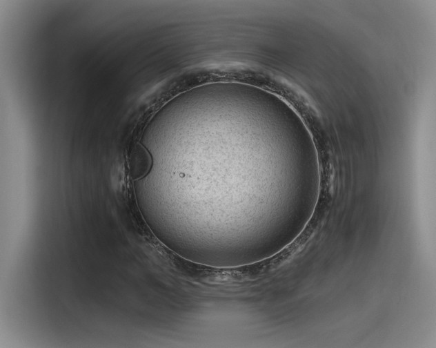 X0000115260966200911061235
