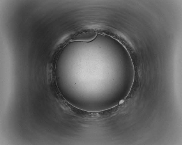 X0000115260968200911061235