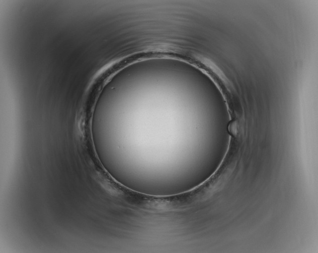 X0000115260971200911061235