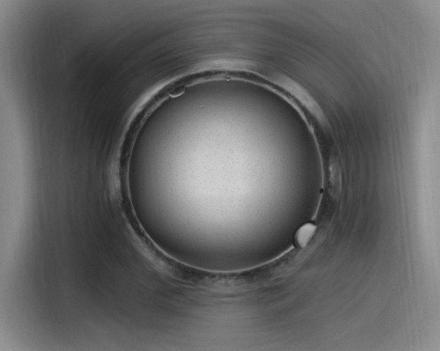 X0000115260972200911061235
