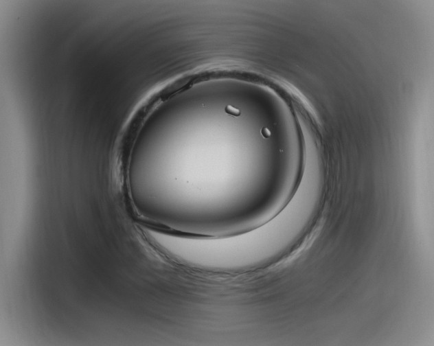 X0000115260973200911061235