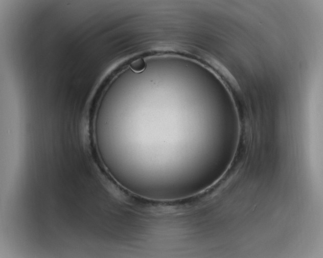 X0000115260976200911061235