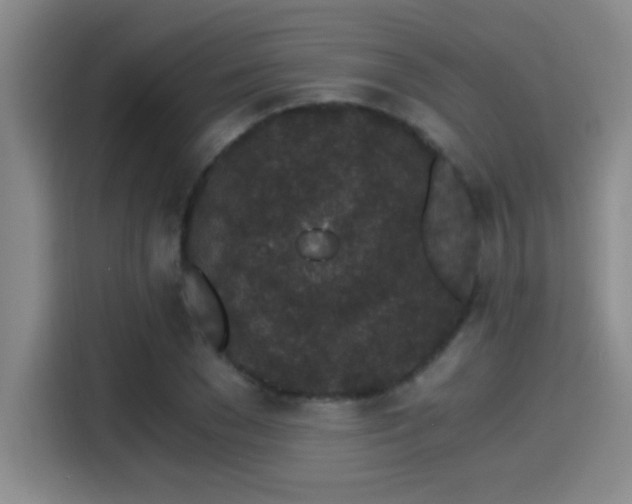 X0000115260977200911061235