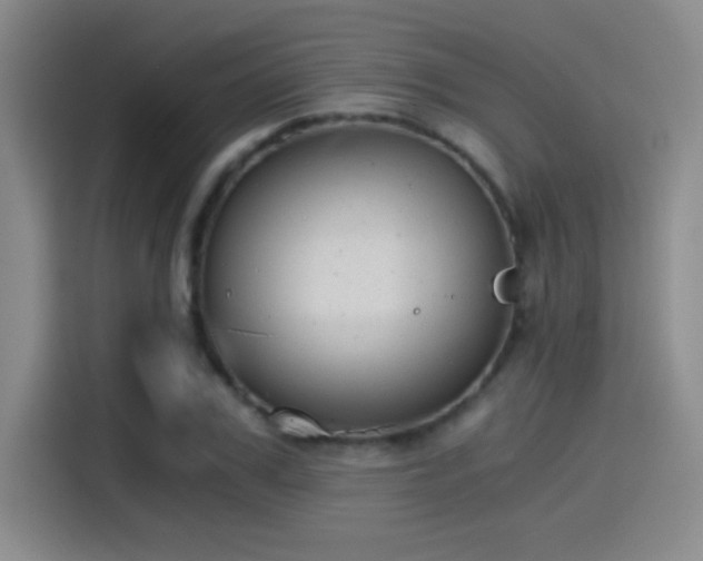 X0000115260979200911061235
