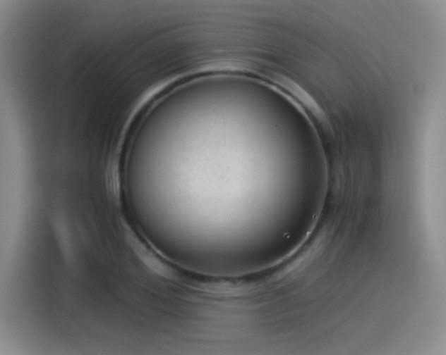 X0000115260980200911061235