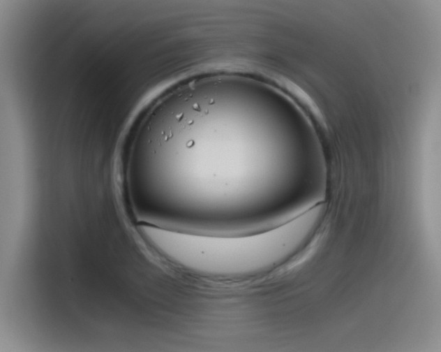 X0000115260981200911061235