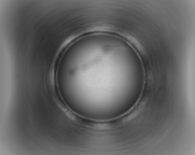 X0000115260982200911061235