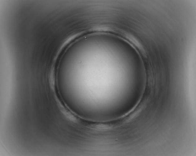 X0000115260984200911061235