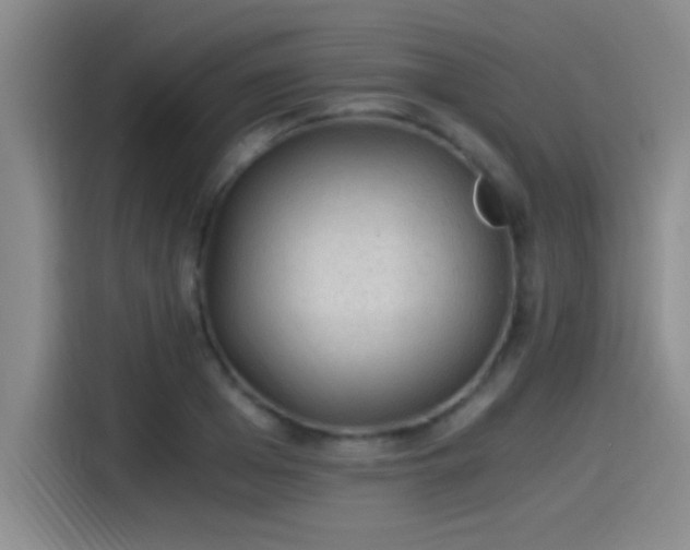 X0000115260985200911061235