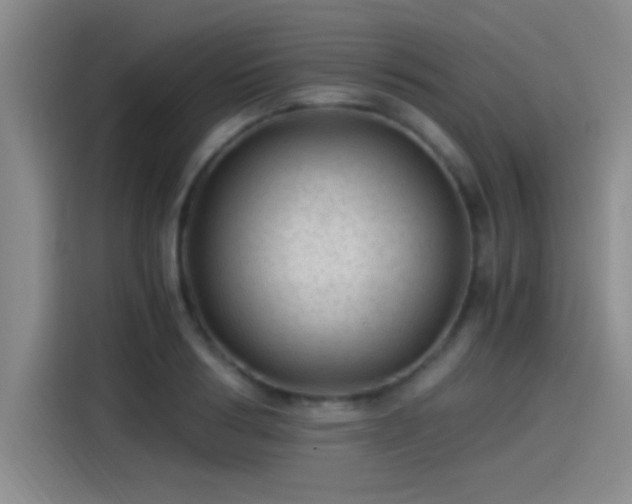 X0000115260986200911061235