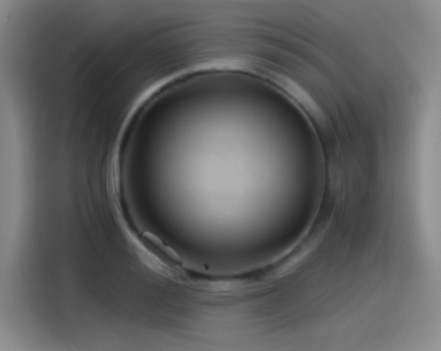 X0000115260988200911061235