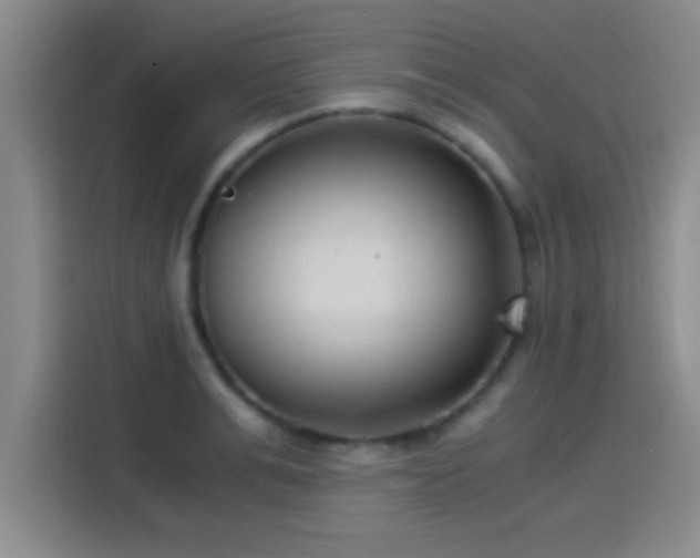 X0000115260991200911061235