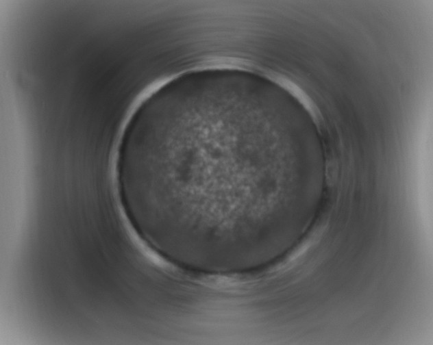 X0000115260995200911061235